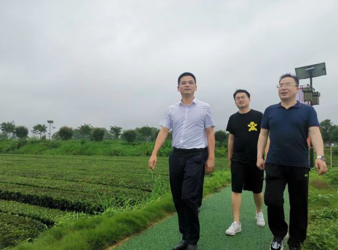 嘉峪關市來桃源考察農(nóng)業(yè)特色產(chǎn)業(yè)和富硒功能農(nóng)業(yè)