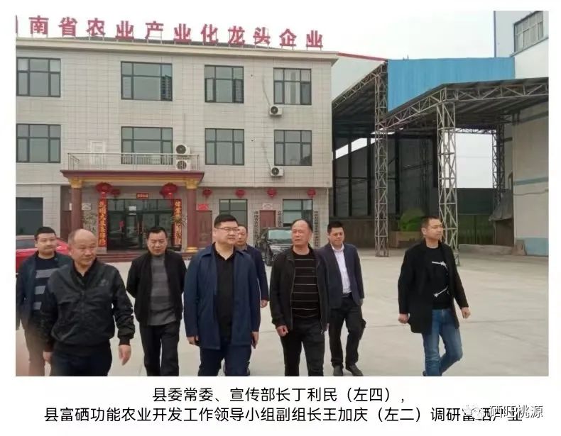 縣委常委、宣傳部長丁利民調(diào)研富硒基地和預(yù)制菜產(chǎn)業(yè)